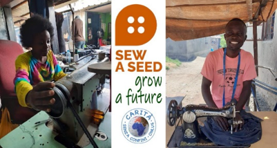 sew a seed anteprima